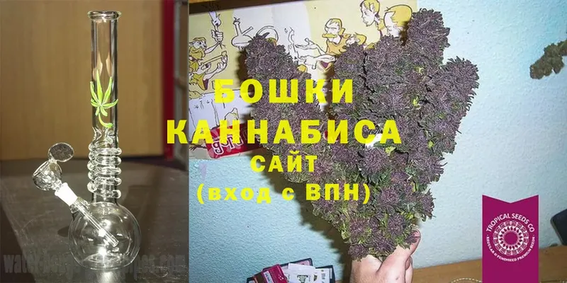 купить наркотики цена  мега как войти  Шишки марихуана SATIVA & INDICA  Новочебоксарск 